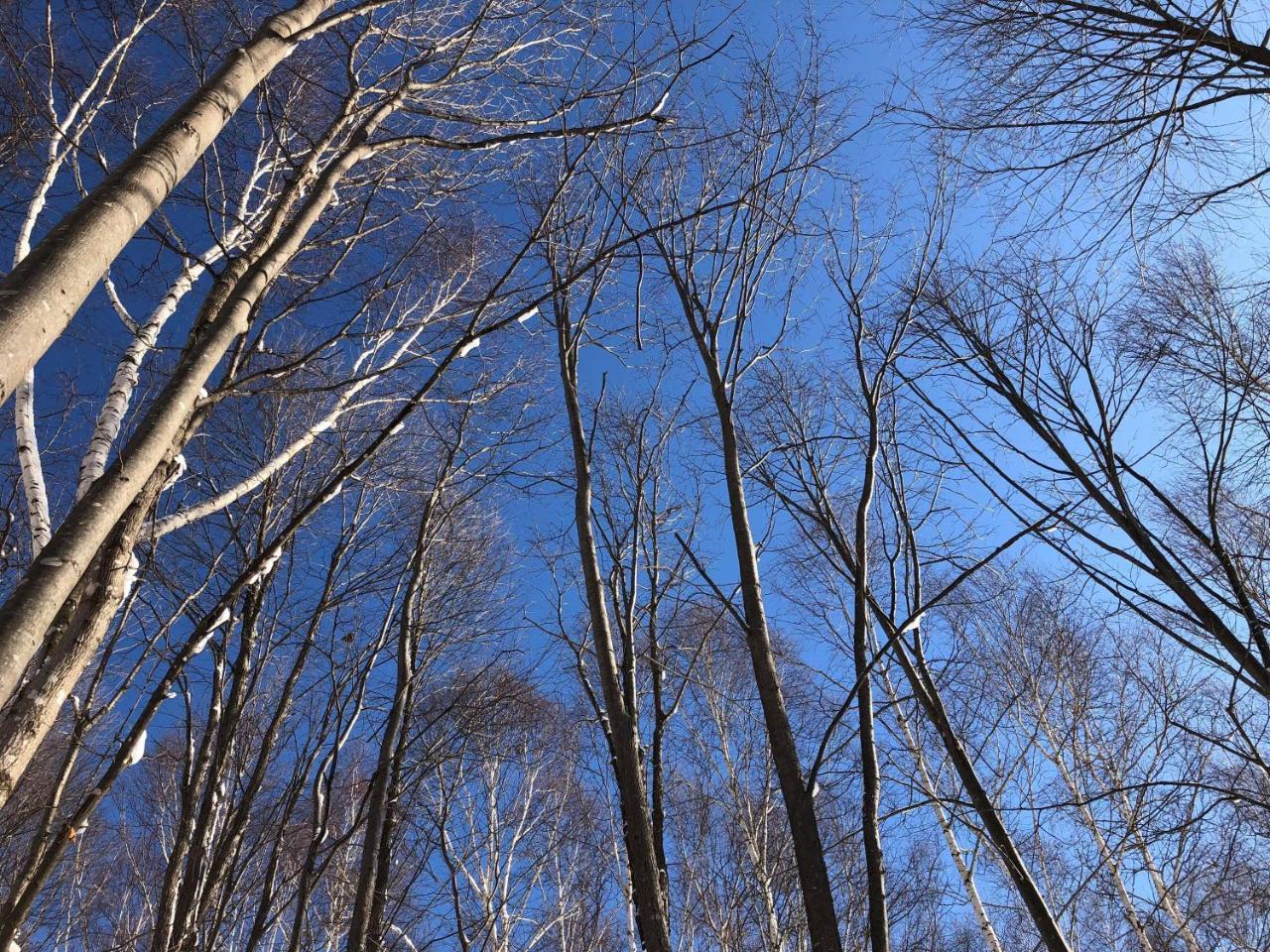 Sora One Stay & Yoga Asahikawa Exterior photo